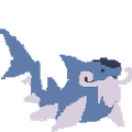 Shark the Wise Discord emoji